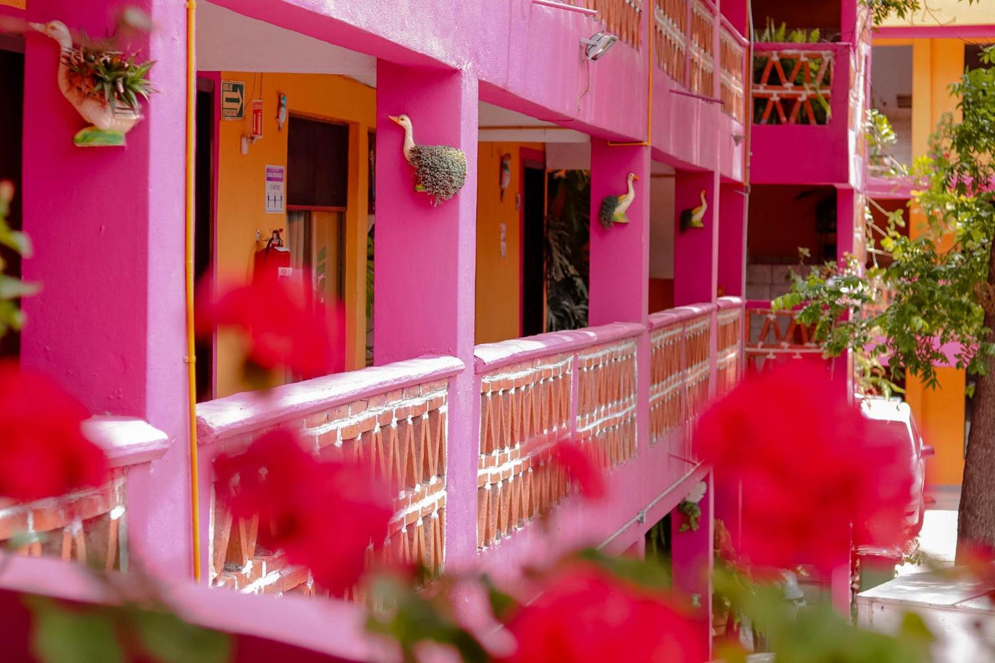 El Jazmin De Zanya Hostel Dolores Hidalgo Exterior photo